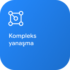 Kompleks yanaşma